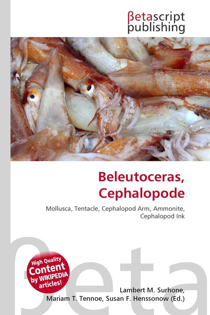 Beleutoceras Cephalopode