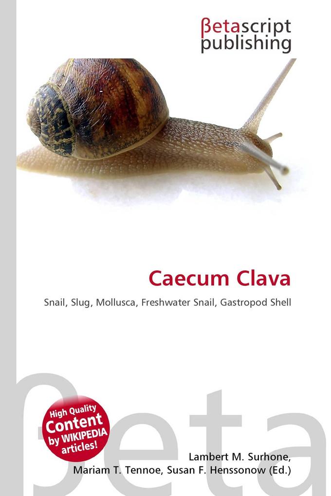Caecum Clava