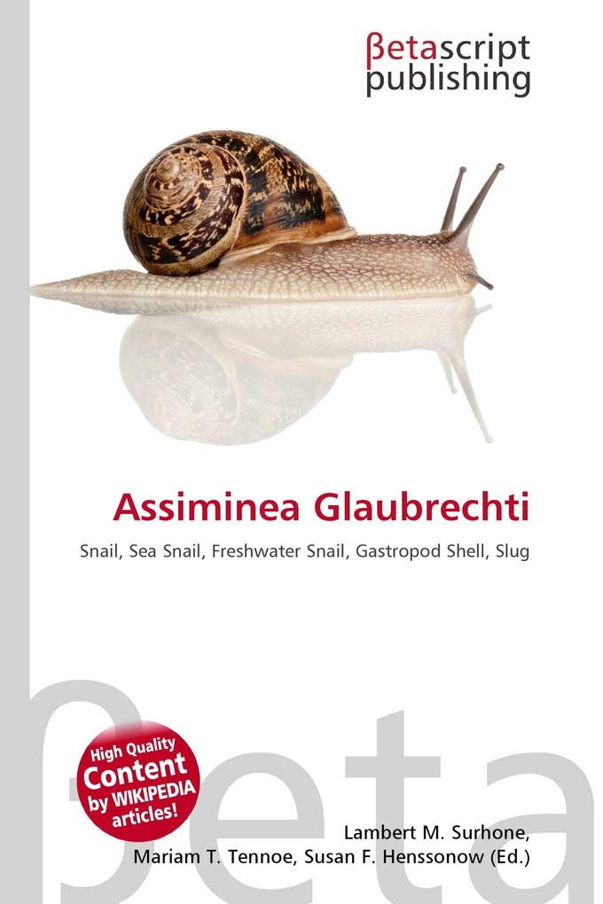 Assiminea Glaubrechti