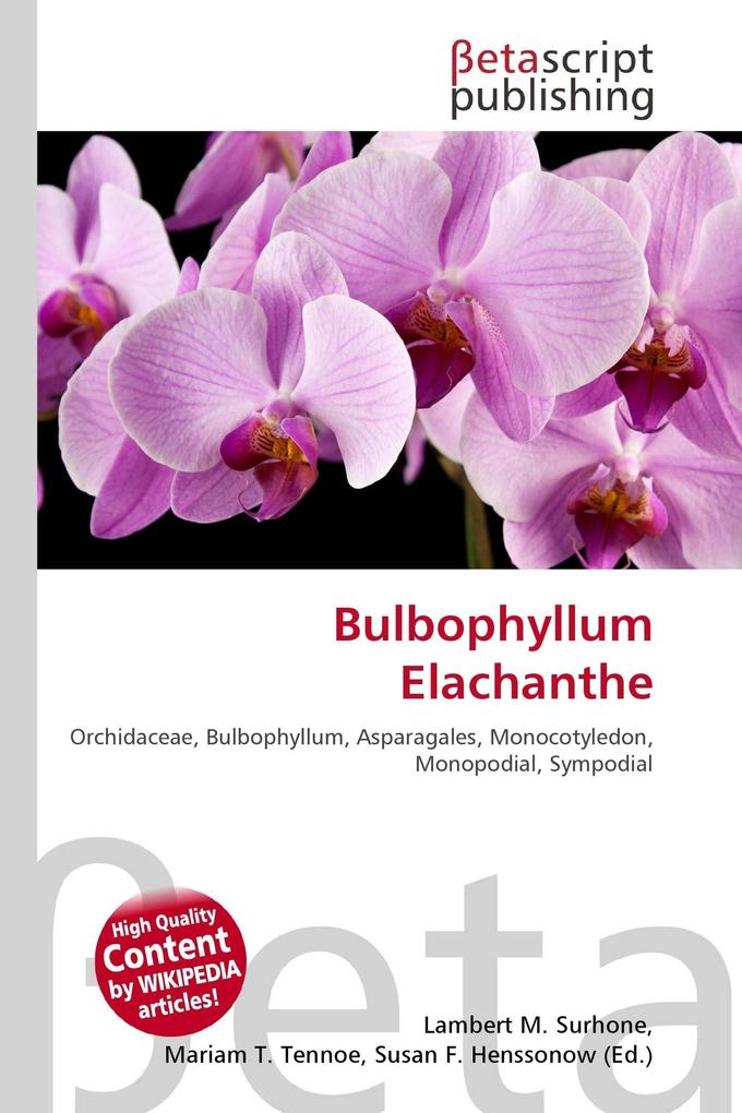 Bulbophyllum Elachanthe