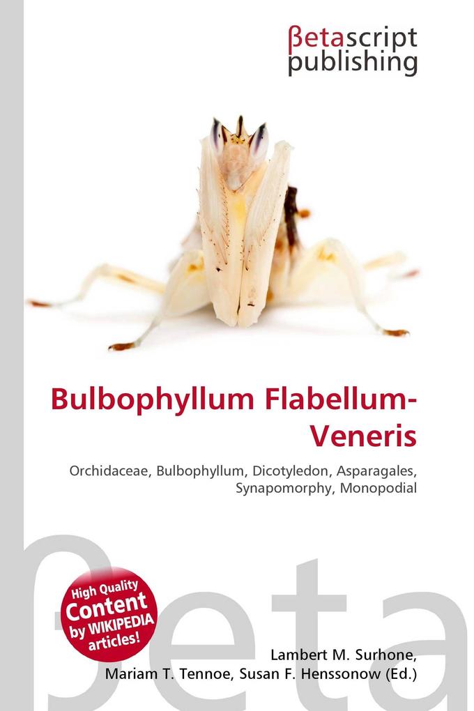 Bulbophyllum Flabellum-Veneris