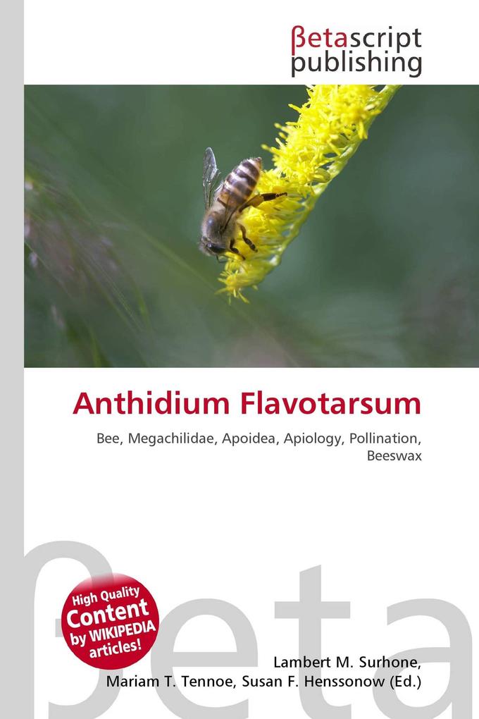 Anthidium Flavotarsum