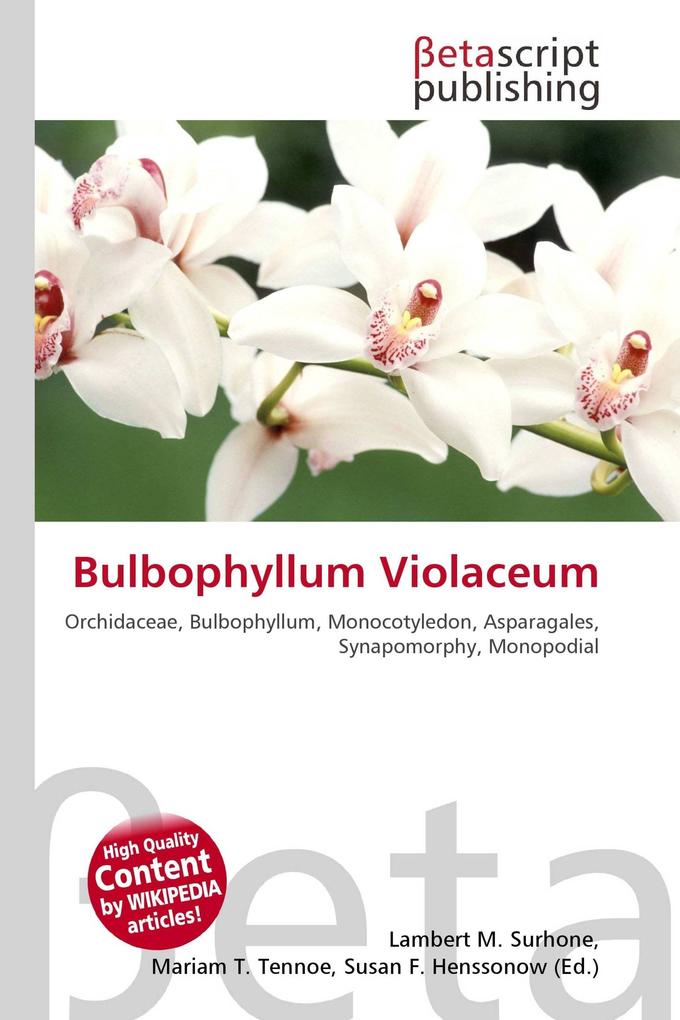 Bulbophyllum Violaceum