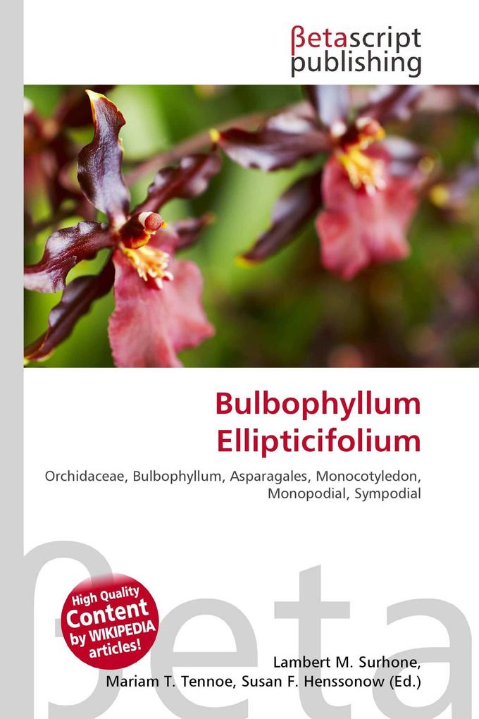 Bulbophyllum Ellipticifolium