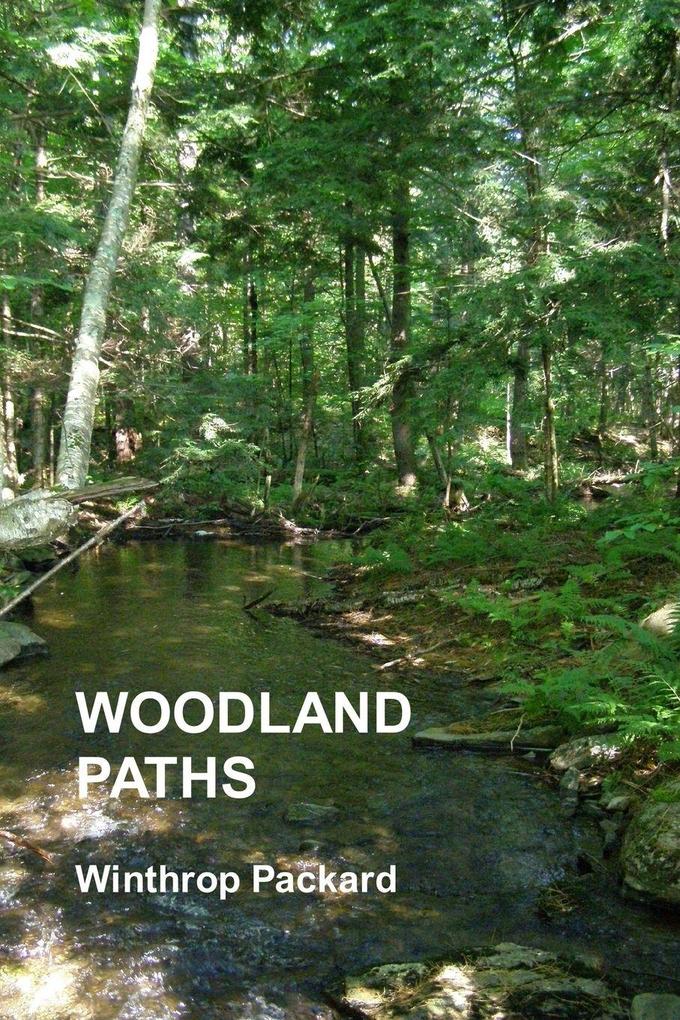 Woodland Paths
