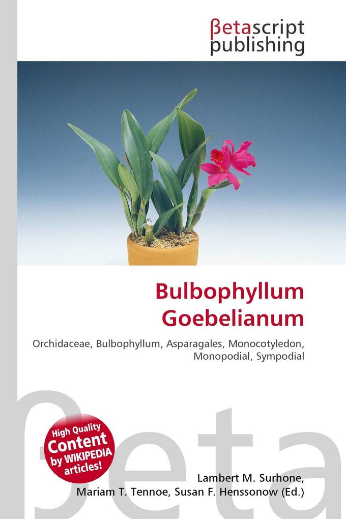 Bulbophyllum Goebelianum