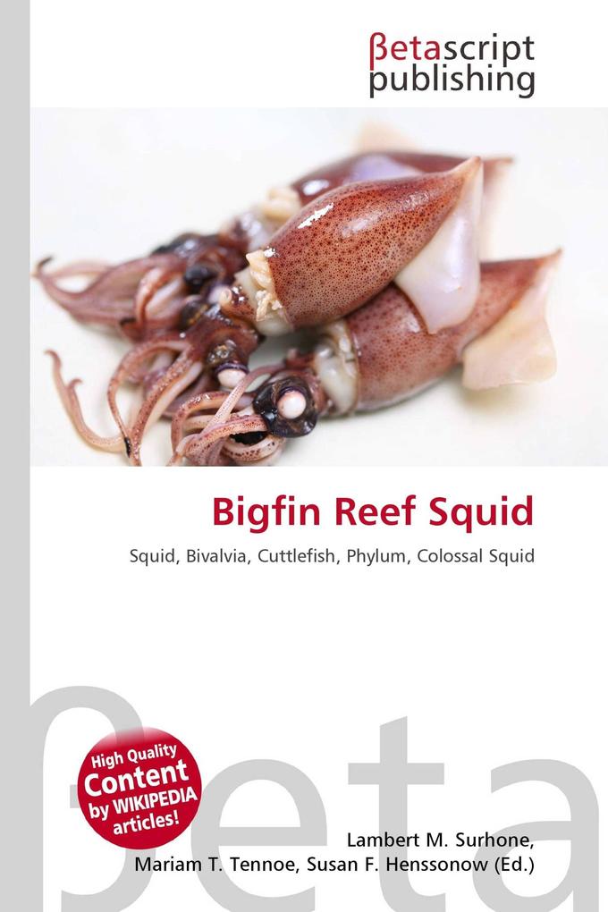 Bigfin Reef Squid
