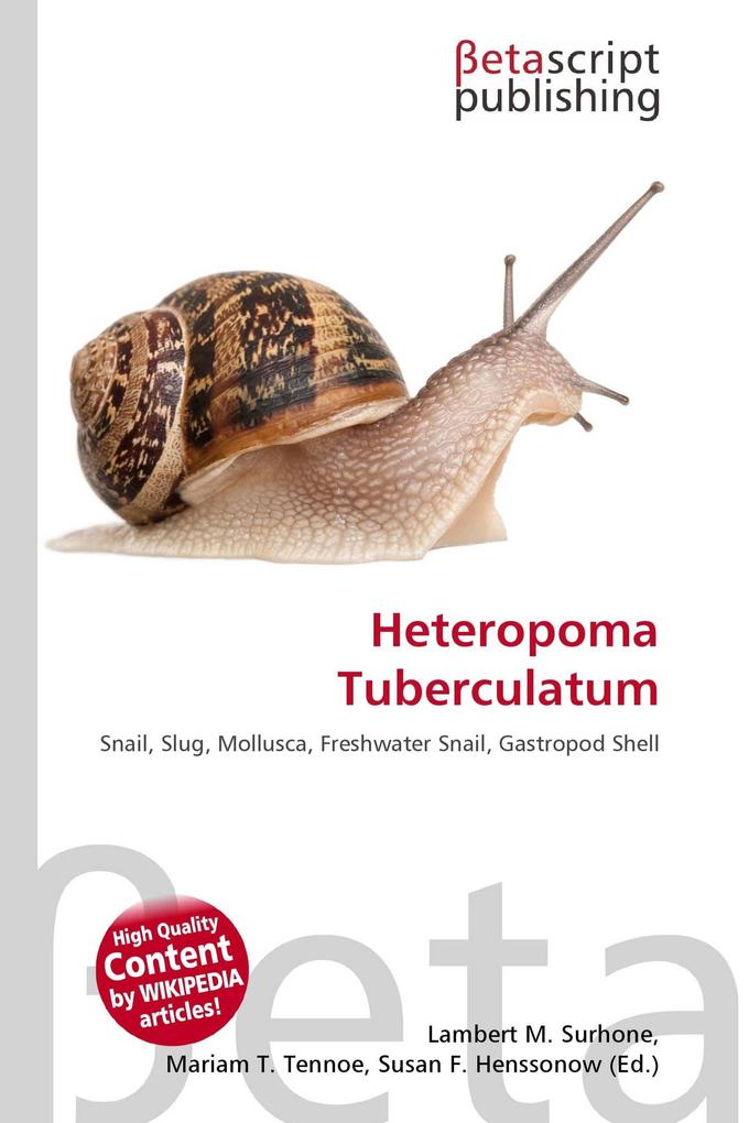 Heteropoma Tuberculatum