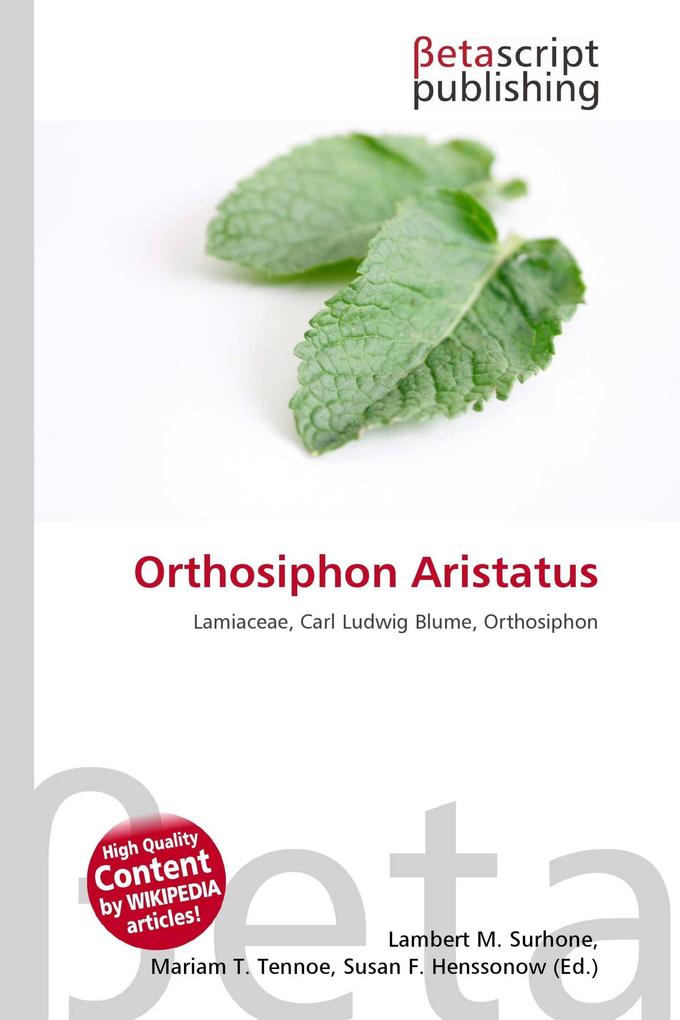 Orthosiphon Aristatus