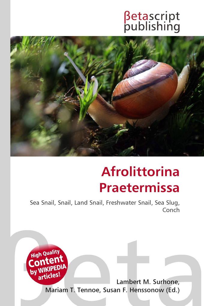Afrolittorina Praetermissa