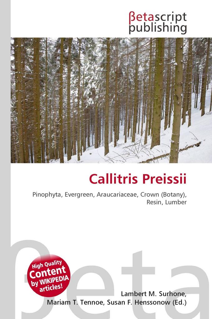 Callitris Preissii