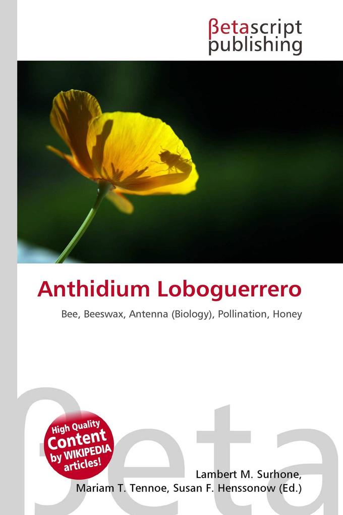 Anthidium Loboguerrero