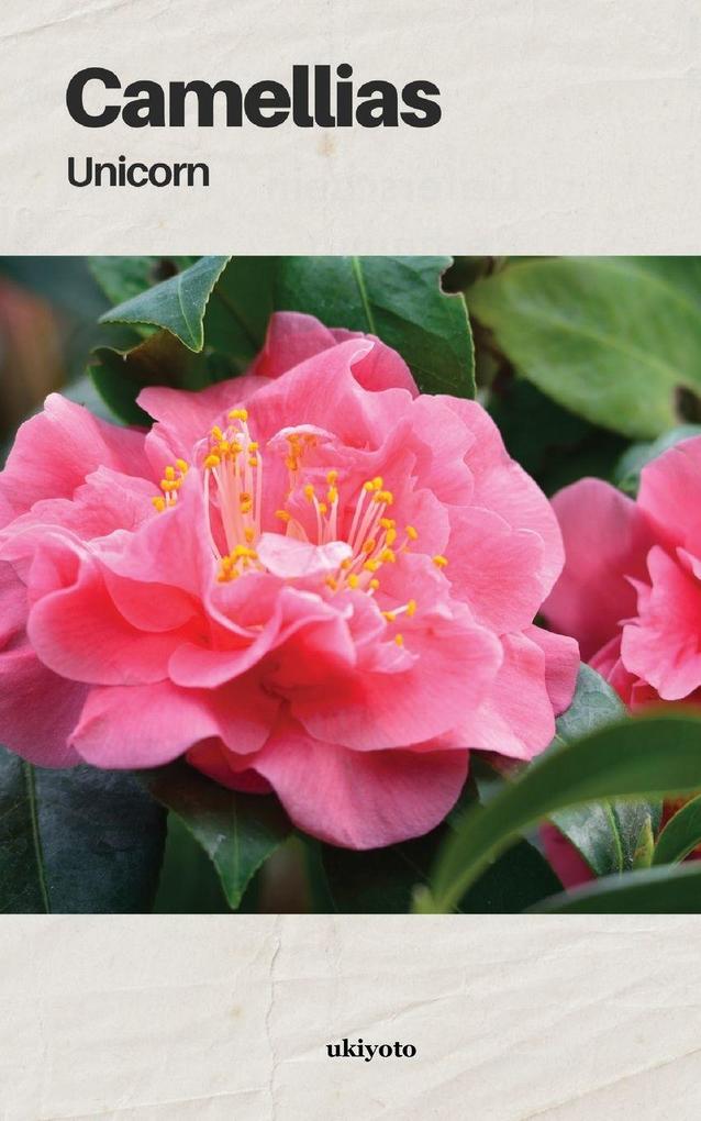 Camellias