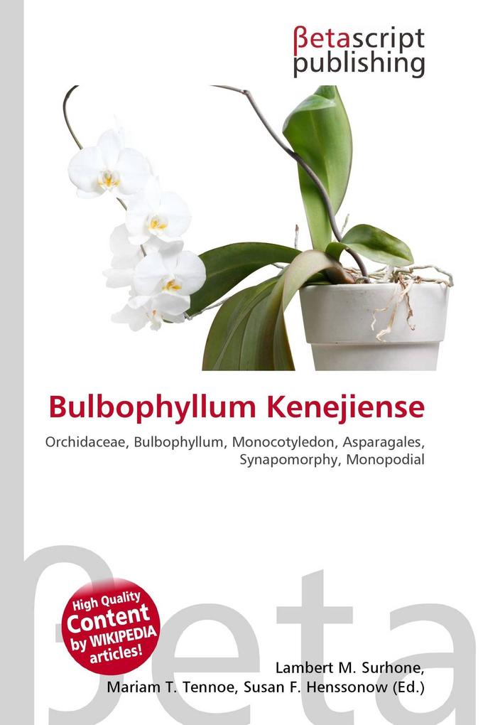Bulbophyllum Kenejiense