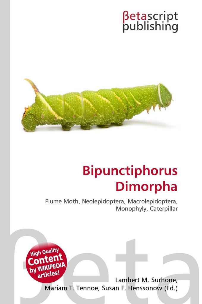 Bipunctiphorus Dimorpha