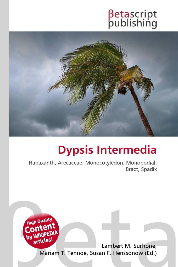 Dypsis Intermedia