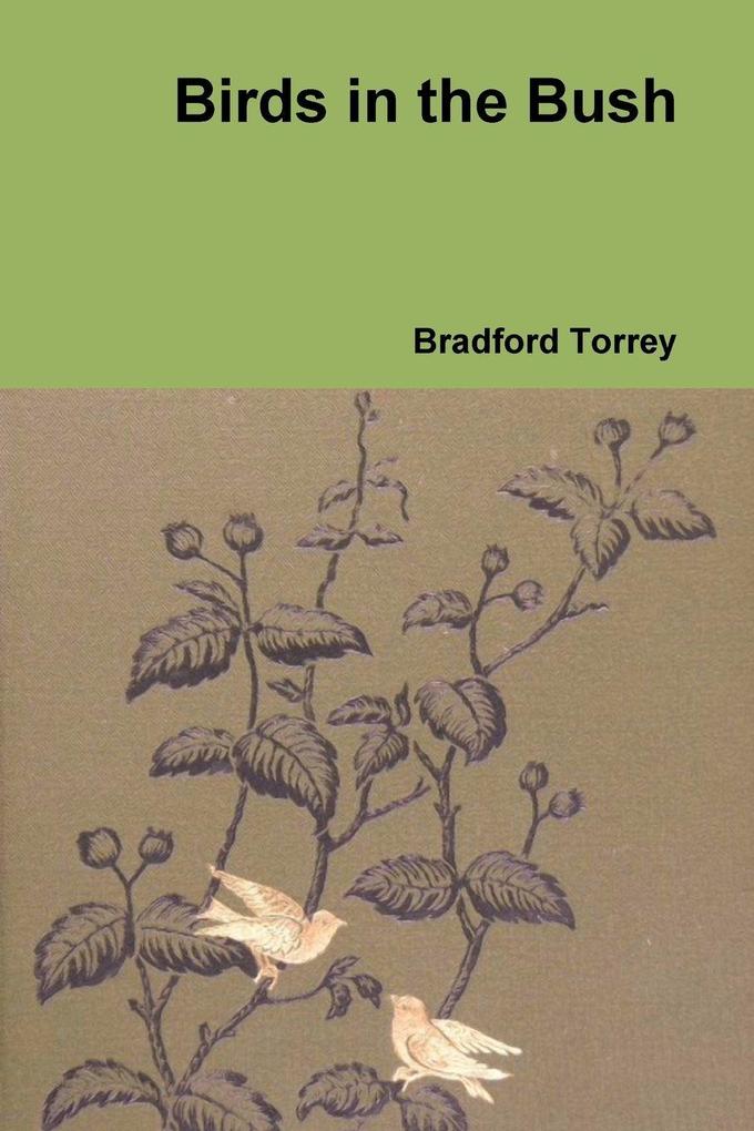 Birds in the Bush