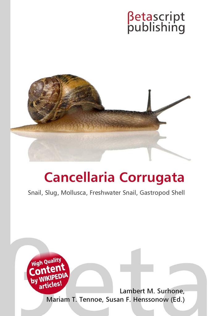 Cancellaria Corrugata
