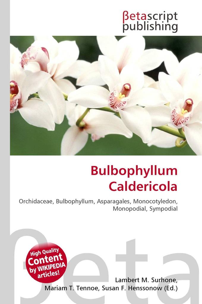 Bulbophyllum Caldericola