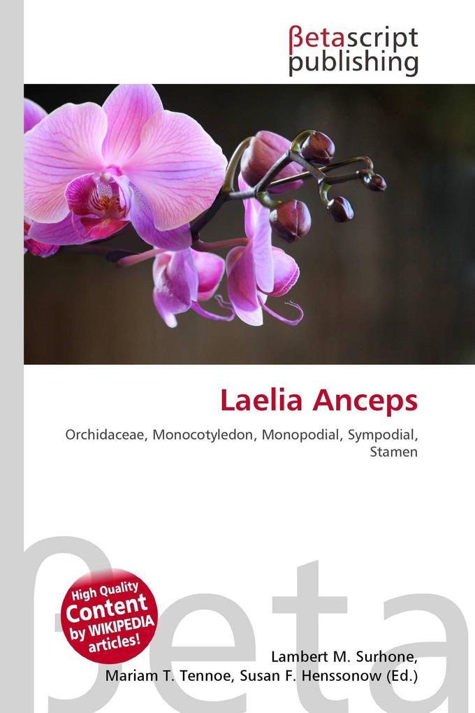 Laelia Anceps