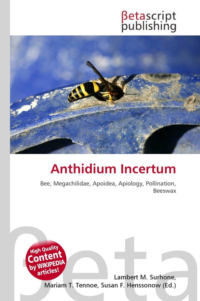 Anthidium Incertum