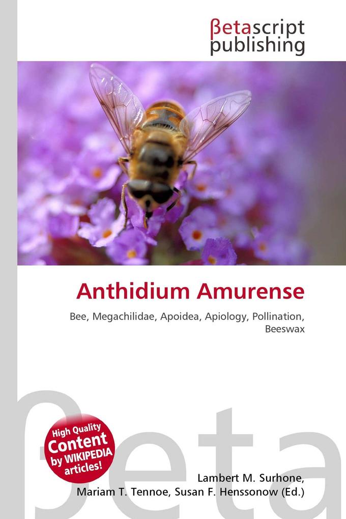 Anthidium Amurense