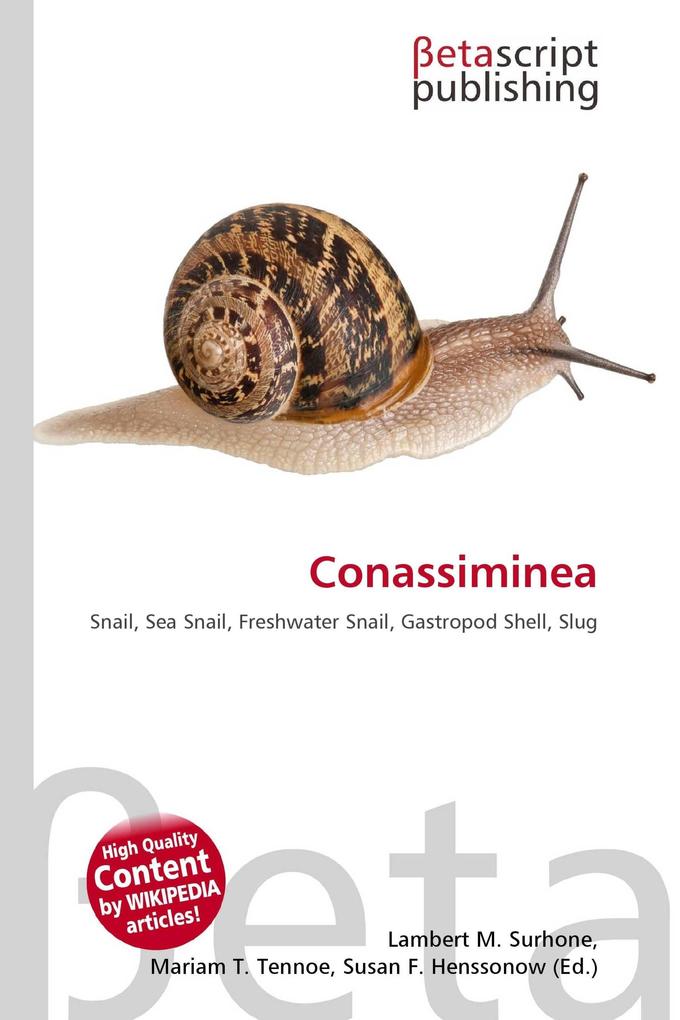 Conassiminea