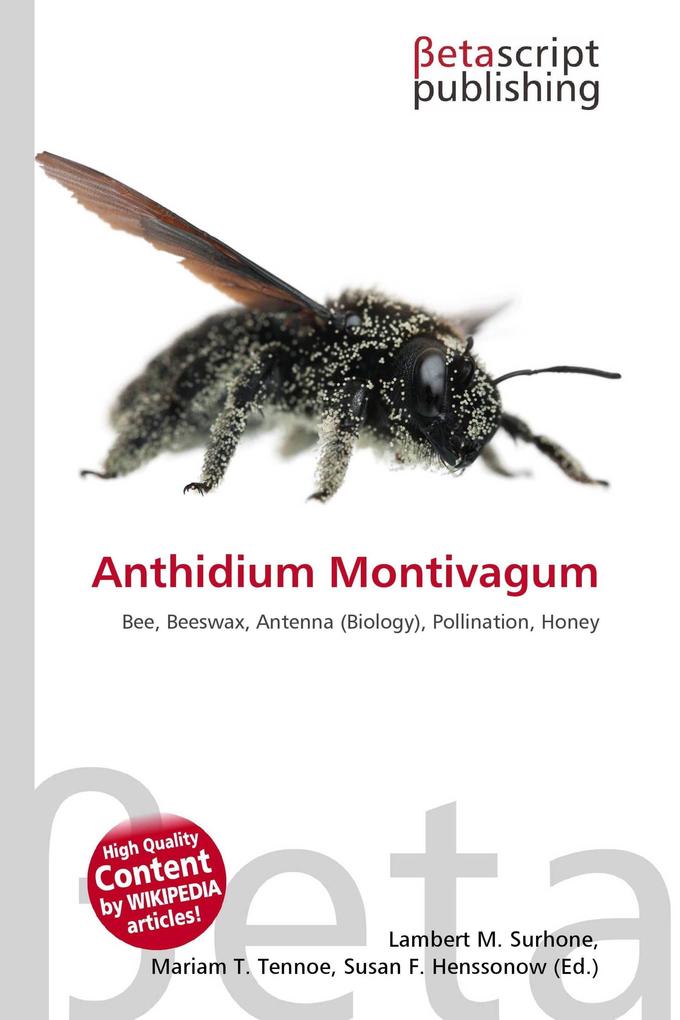 Anthidium Montivagum