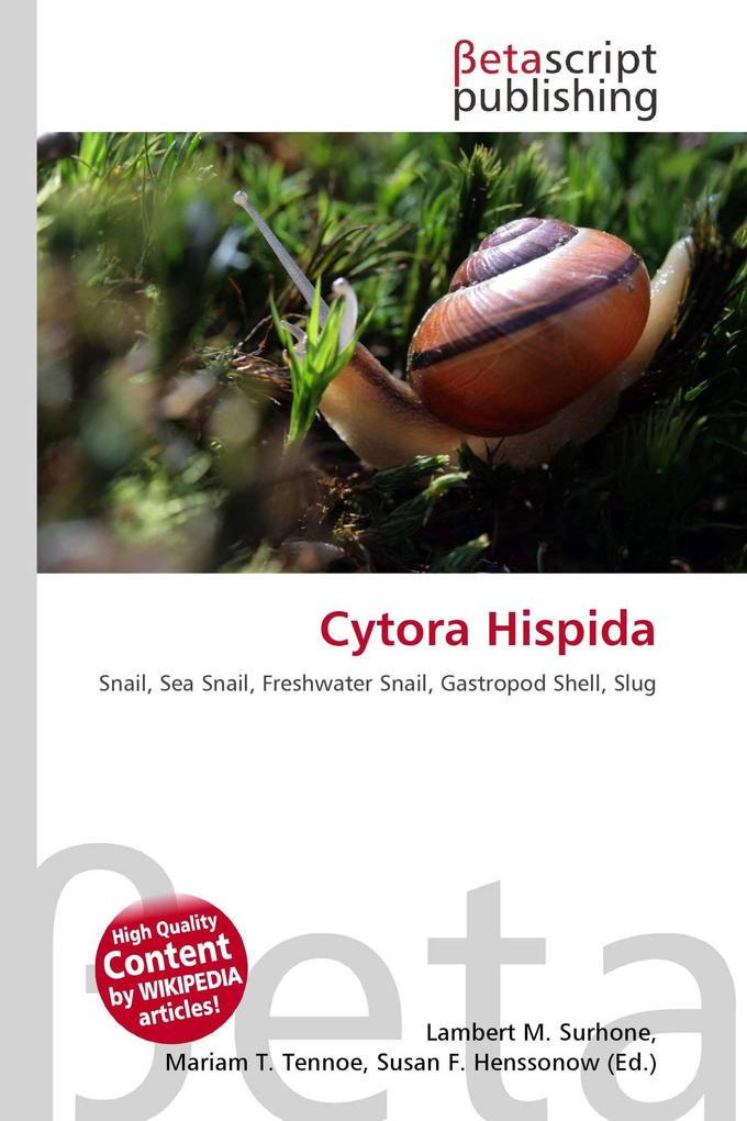 Cytora Hispida