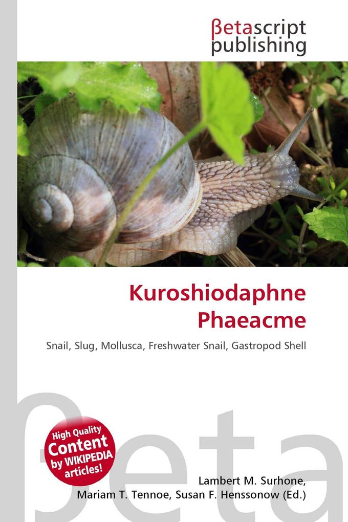 Kuroshiodaphne Phaeacme