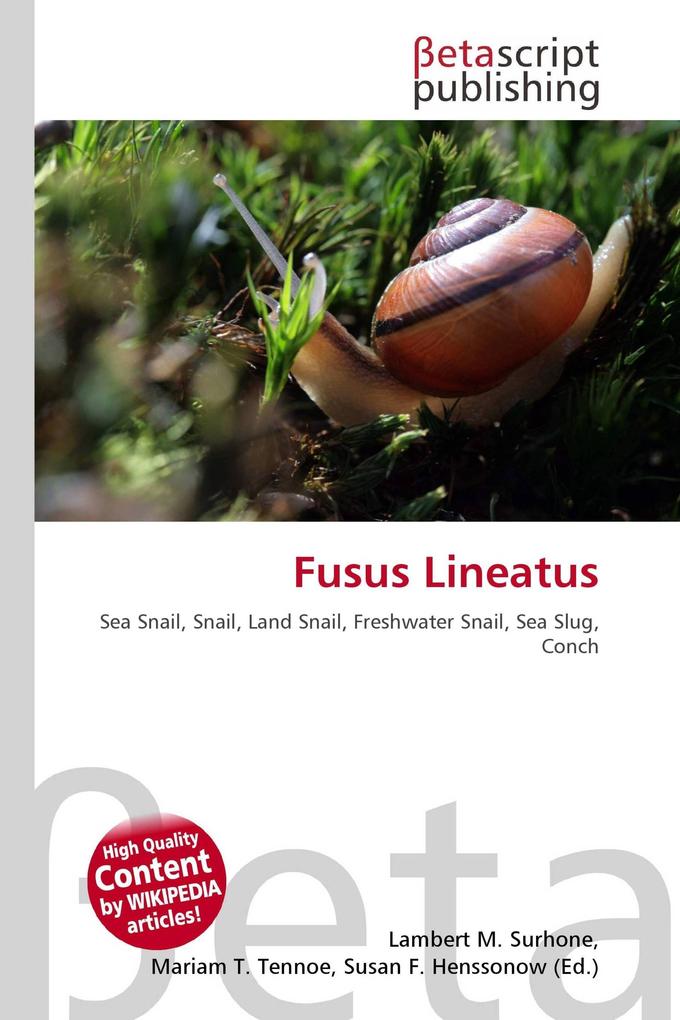 Fusus Lineatus