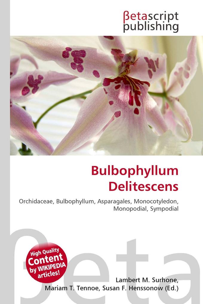 Bulbophyllum Delitescens