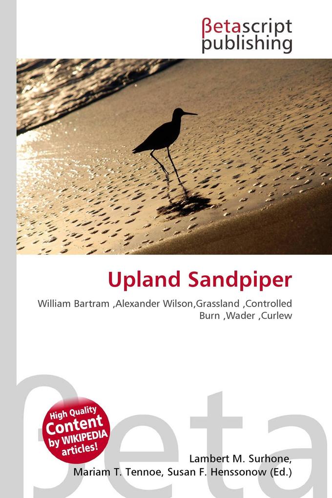 Upland Sandpiper