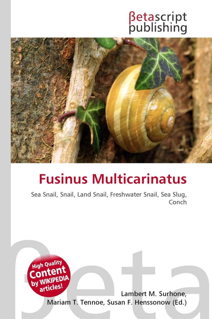 Fusinus Multicarinatus