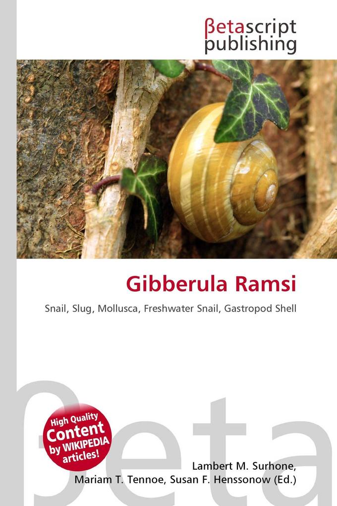 Gibberula Ramsi
