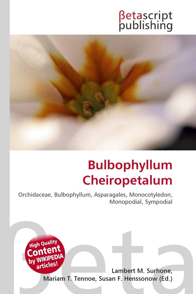 Bulbophyllum Cheiropetalum