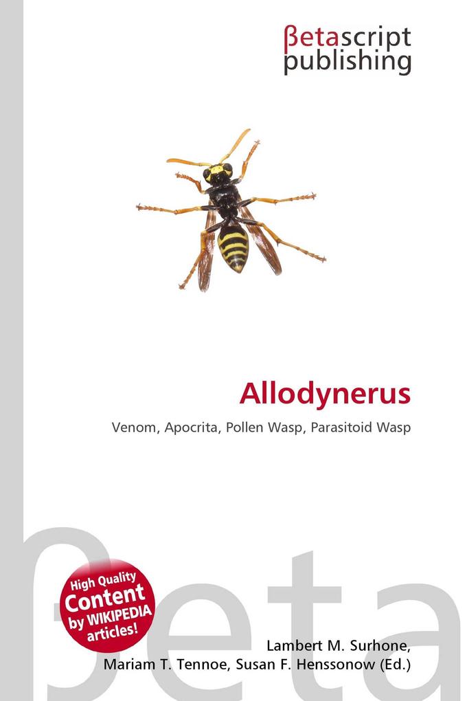 Allodynerus
