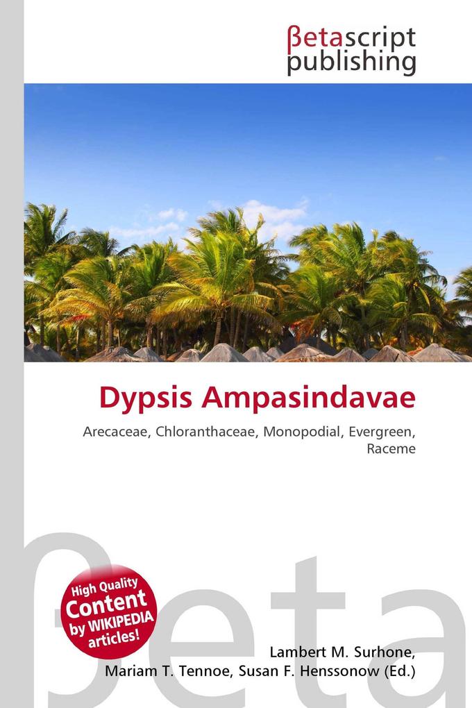 Dypsis Ampasindavae