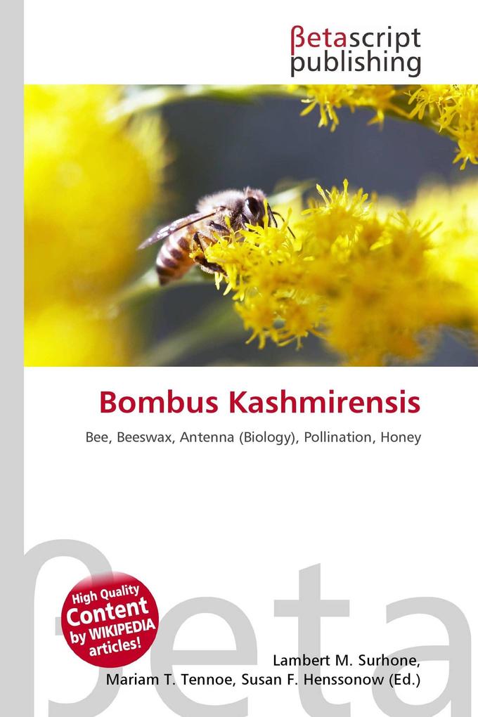 Bombus Kashmirensis