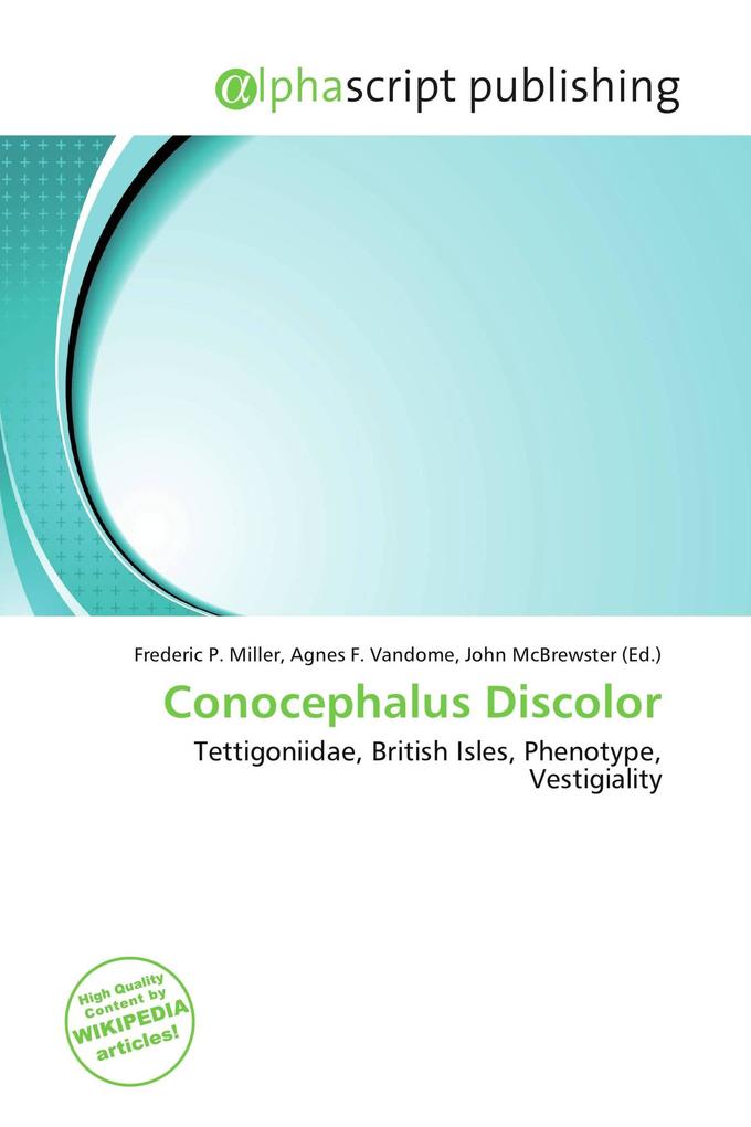 Conocephalus Discolor