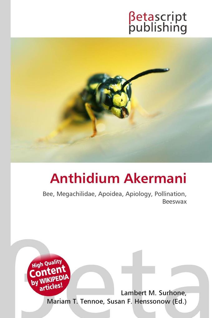 Anthidium Akermani
