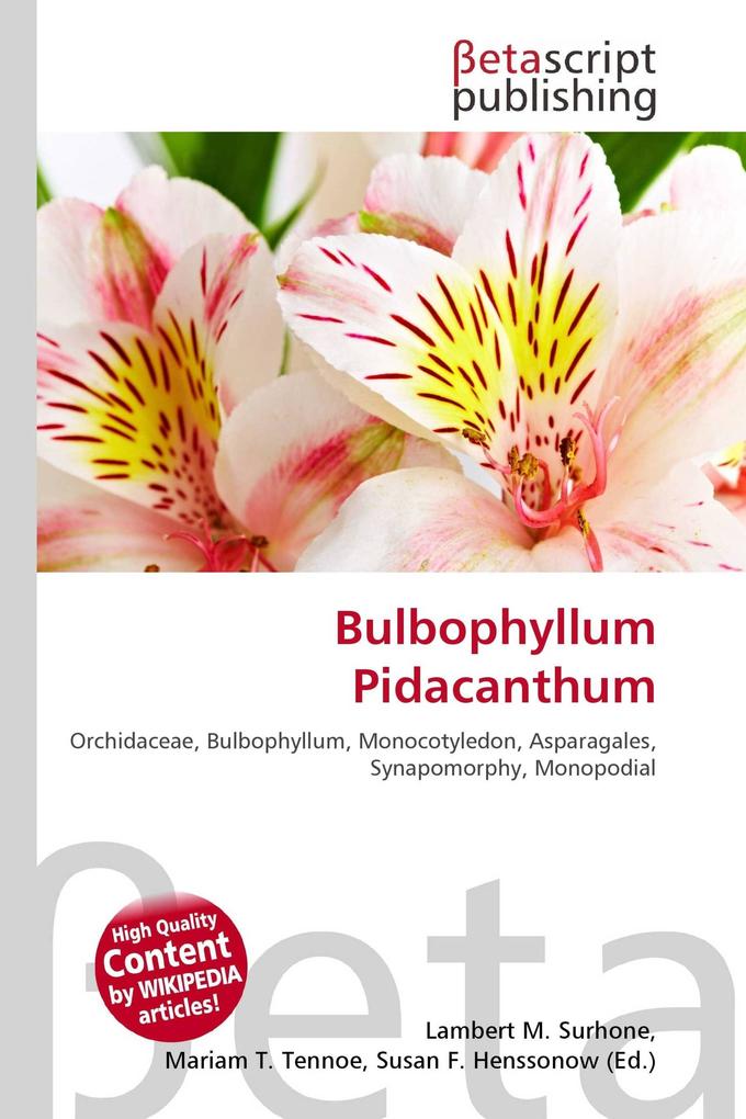 Bulbophyllum Pidacanthum