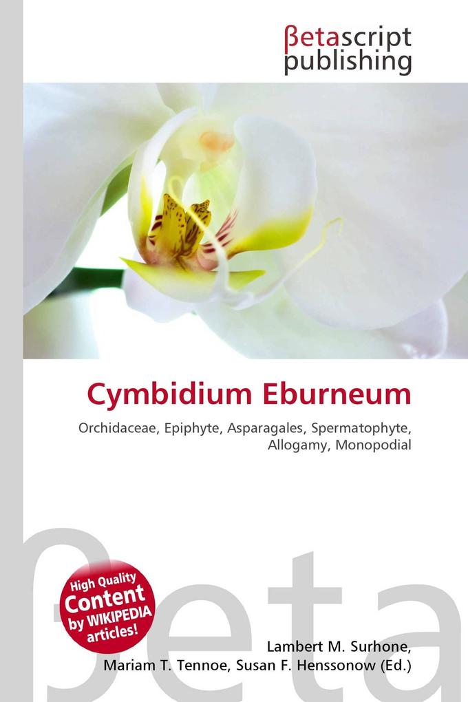 Cymbidium Eburneum