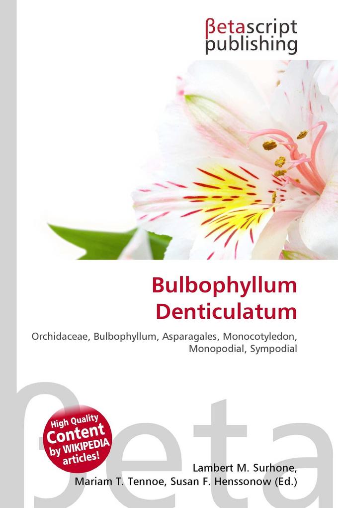 Bulbophyllum Denticulatum