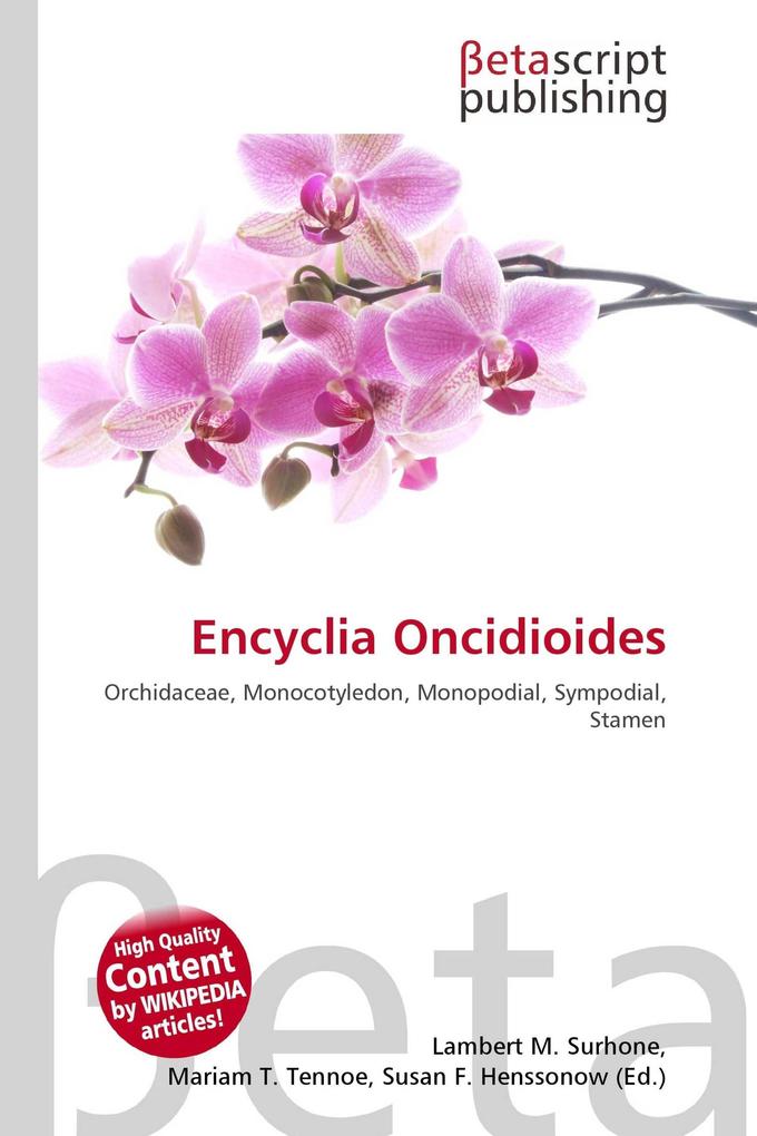 Encyclia Oncidioides