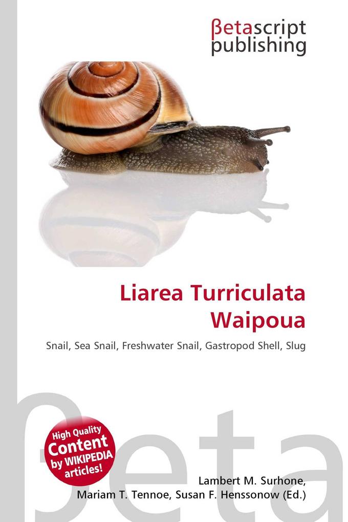 Liarea Turriculata Waipoua