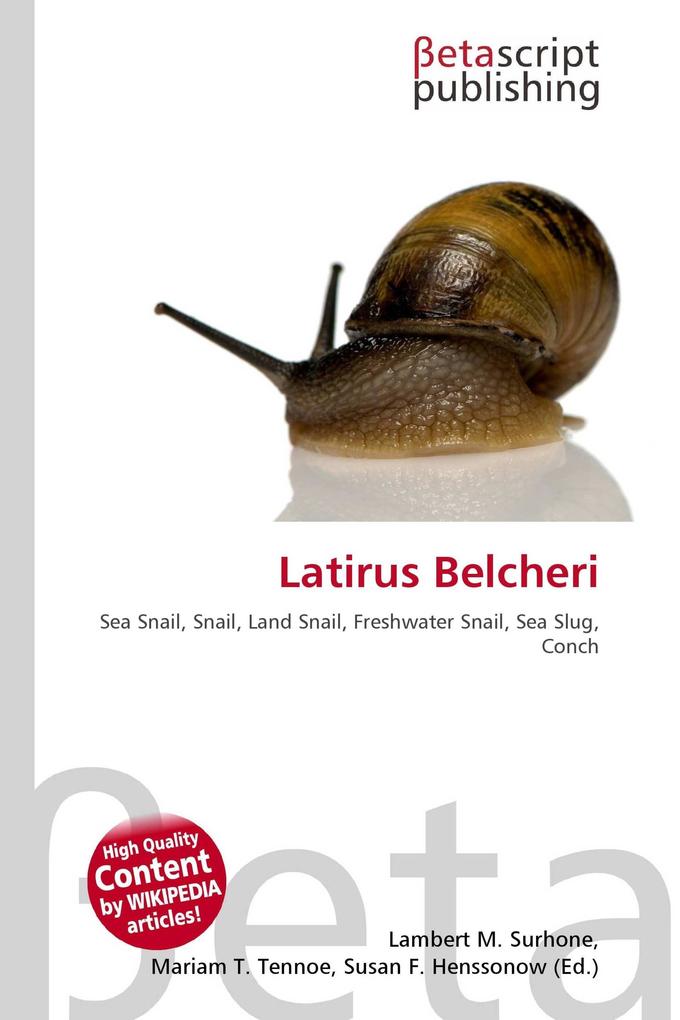 Latirus Belcheri