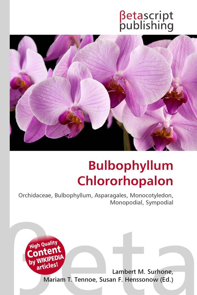 Bulbophyllum Chlororhopalon