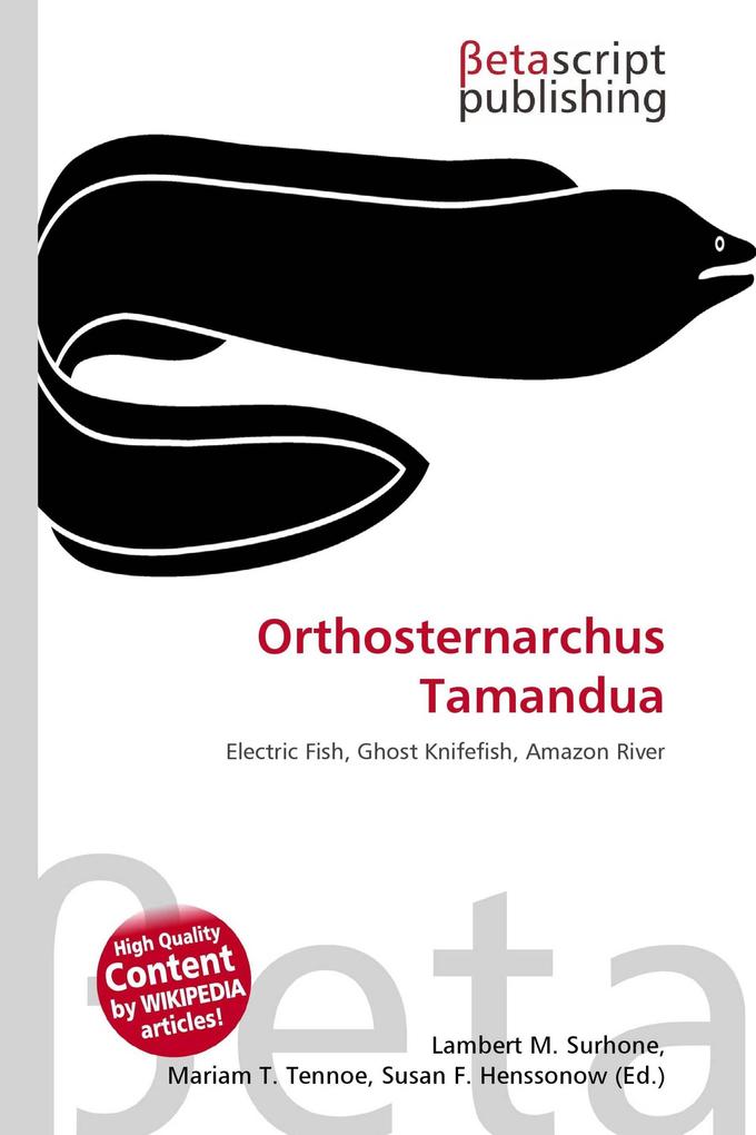 Orthosternarchus Tamandua