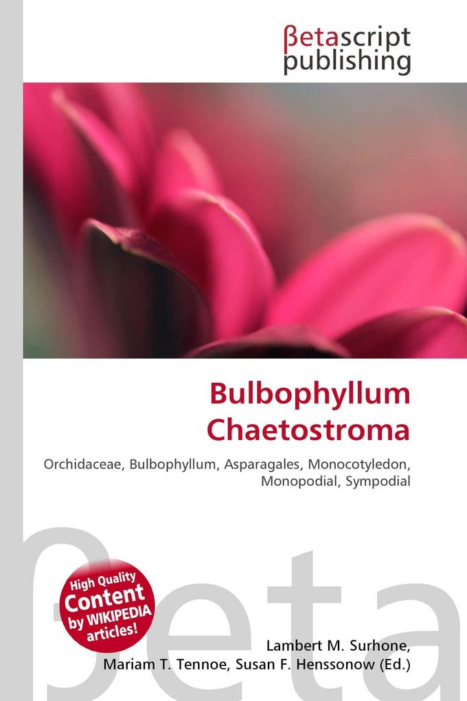 Bulbophyllum Chaetostroma